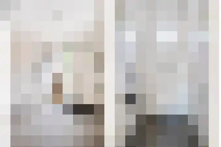 De Breistroeken 33 Nieuw-Balinge thumbnail 18