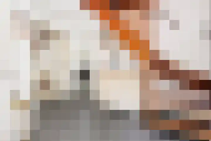 De Breistroeken 33 Nieuw-Balinge thumbnail 19