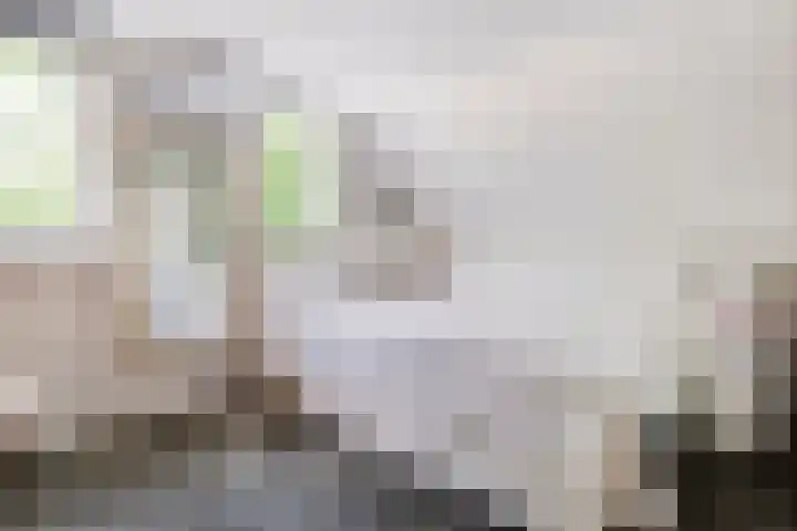 De Breistroeken 33 Nieuw-Balinge thumbnail 21