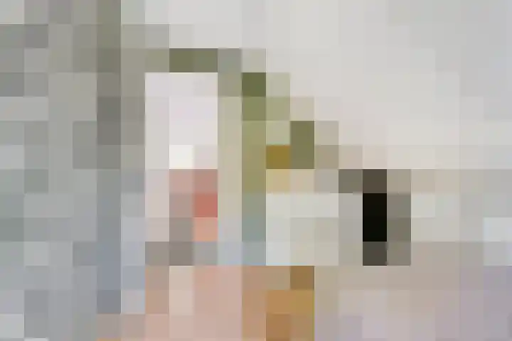 De Breistroeken 33 Nieuw-Balinge thumbnail 24