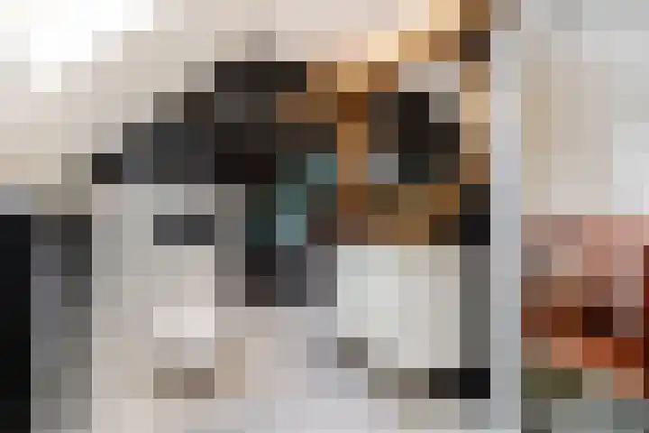 De Breistroeken 33 Nieuw-Balinge thumbnail 26