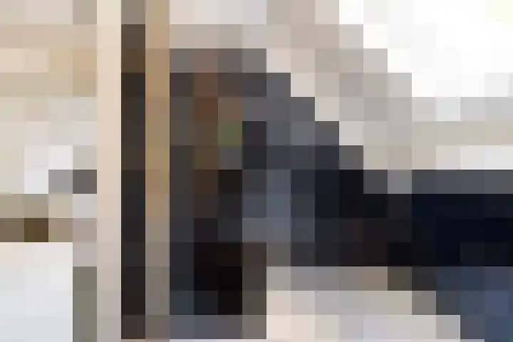 De Breistroeken 33 Nieuw-Balinge thumbnail 27