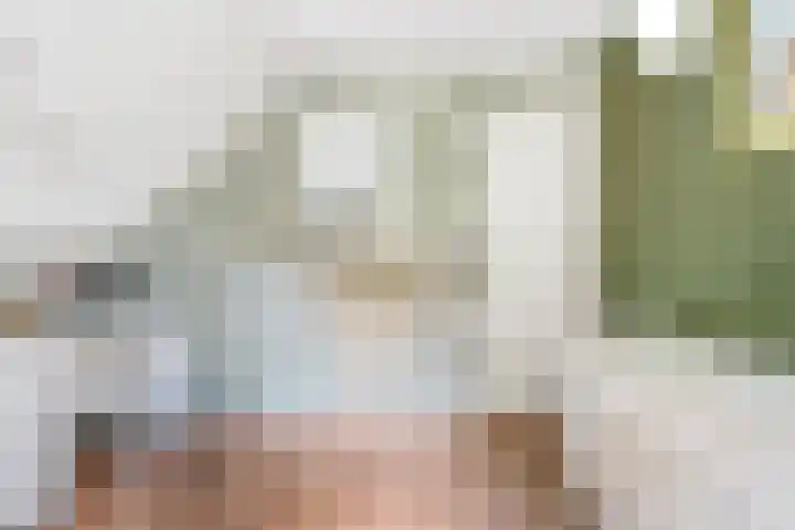 De Breistroeken 33 Nieuw-Balinge thumbnail 29