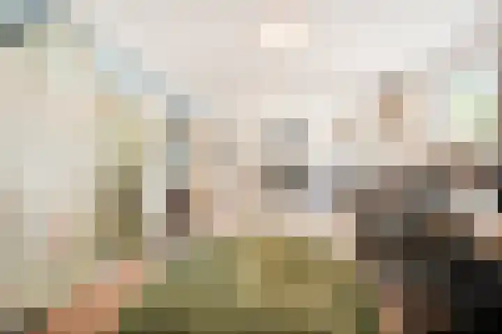 De Breistroeken 33 Nieuw-Balinge thumbnail 31