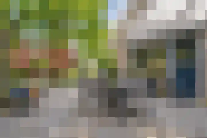 De Breistroeken 33 Nieuw-Balinge thumbnail 36