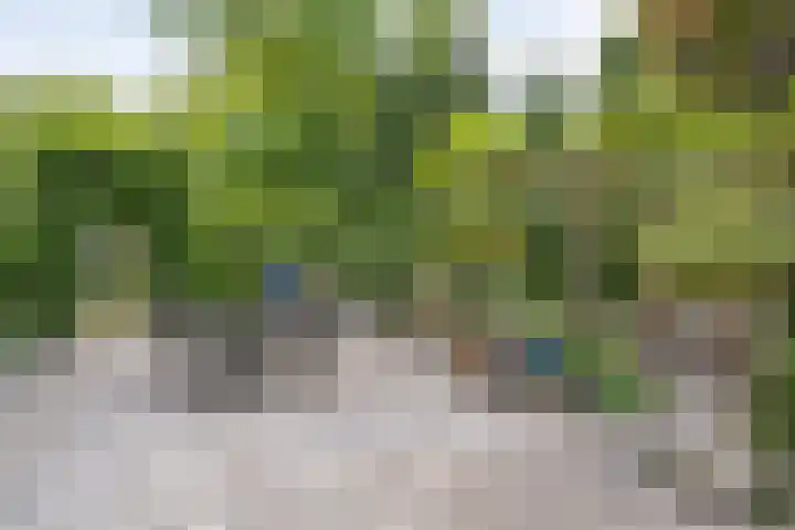 De Breistroeken 33 Nieuw-Balinge thumbnail 37