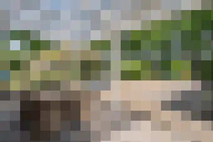 De Breistroeken 33 Nieuw-Balinge thumbnail 38