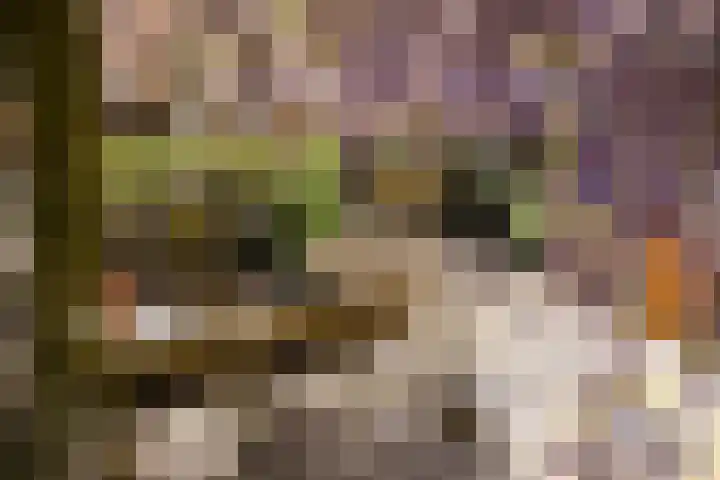 De Breistroeken 33 Nieuw-Balinge thumbnail 39
