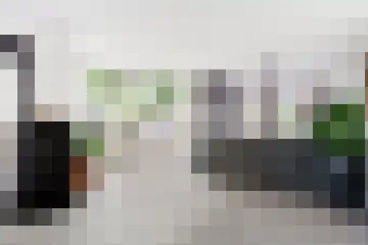 De Breistroeken 33 Nieuw-Balinge thumbnail 4