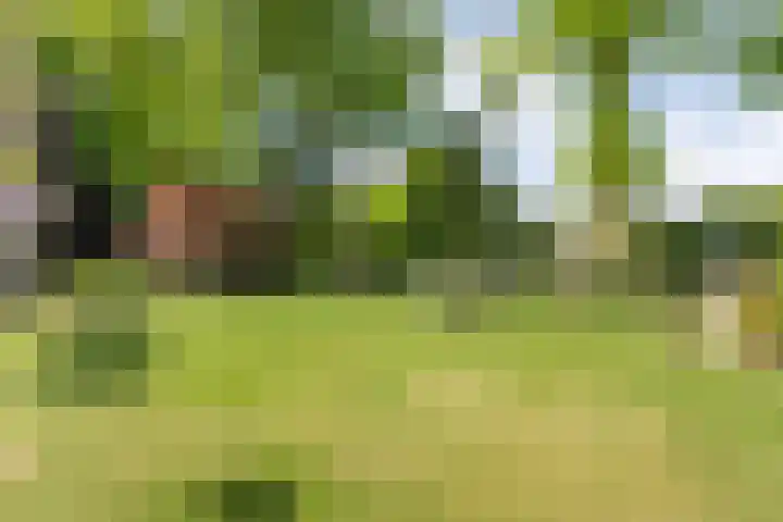 De Breistroeken 33 Nieuw-Balinge thumbnail 40