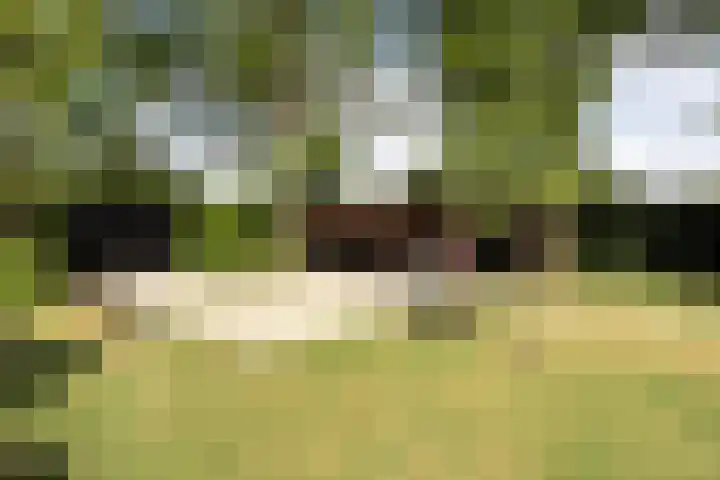 De Breistroeken 33 Nieuw-Balinge thumbnail 41