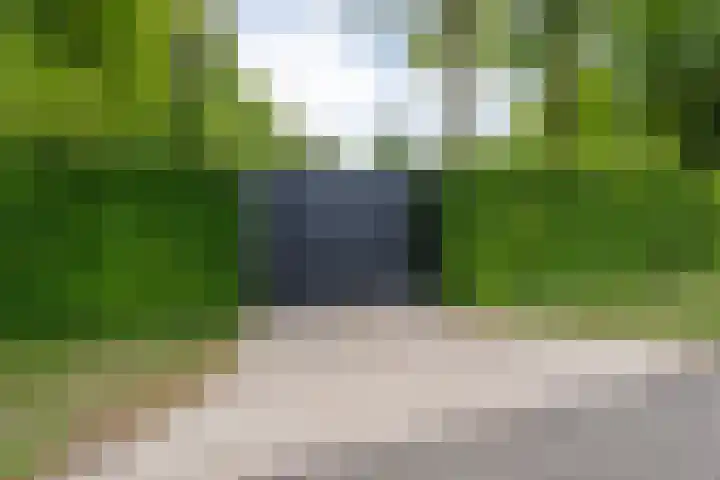 De Breistroeken 33 Nieuw-Balinge thumbnail 42