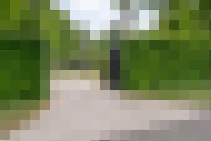 De Breistroeken 33 Nieuw-Balinge thumbnail 43