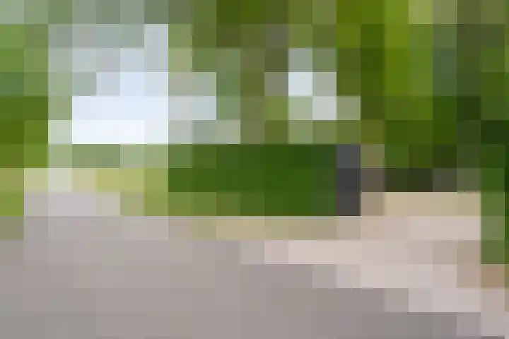 De Breistroeken 33 Nieuw-Balinge thumbnail 44