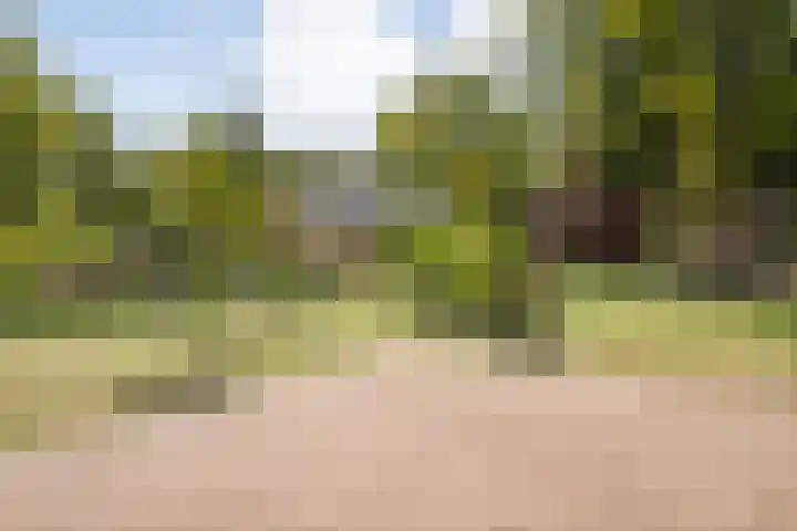 De Breistroeken 33 Nieuw-Balinge thumbnail 45