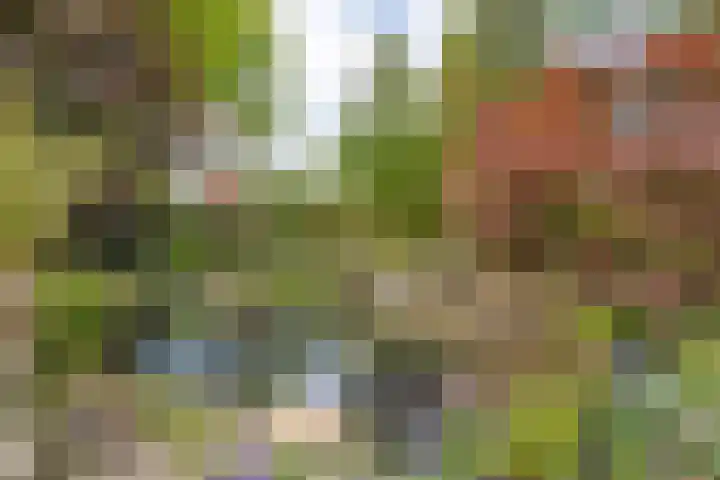 De Breistroeken 33 Nieuw-Balinge thumbnail 47