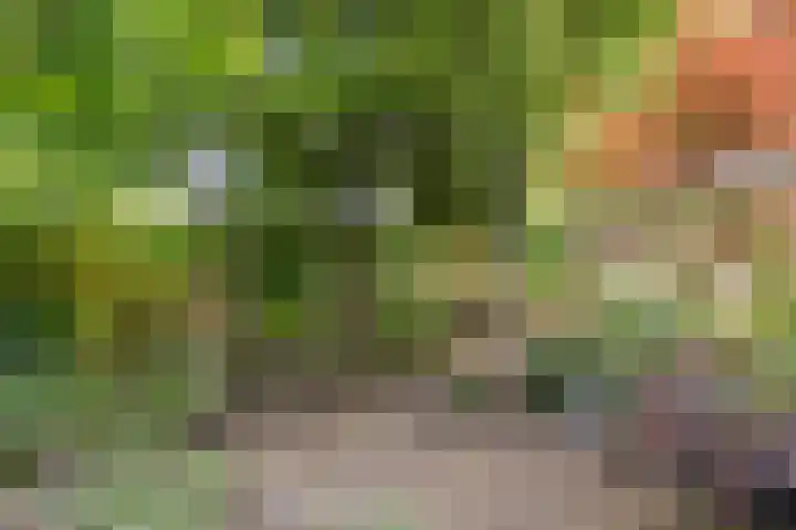 De Breistroeken 33 Nieuw-Balinge thumbnail 48