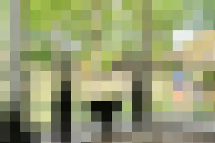 De Breistroeken 33 Nieuw-Balinge thumbnail 5