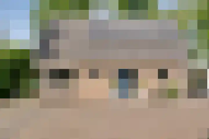 De Breistroeken 33 Nieuw-Balinge thumbnail 50