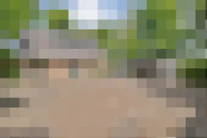 De Breistroeken 33 Nieuw-Balinge thumbnail 51