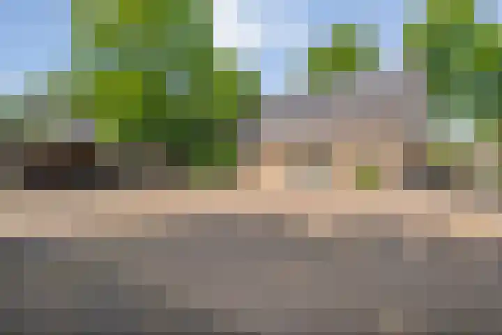 De Breistroeken 33 Nieuw-Balinge thumbnail 52