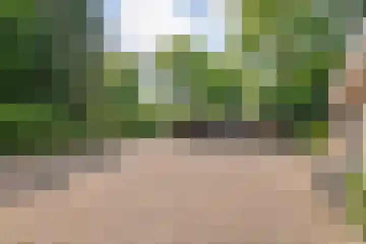 De Breistroeken 33 Nieuw-Balinge thumbnail 53