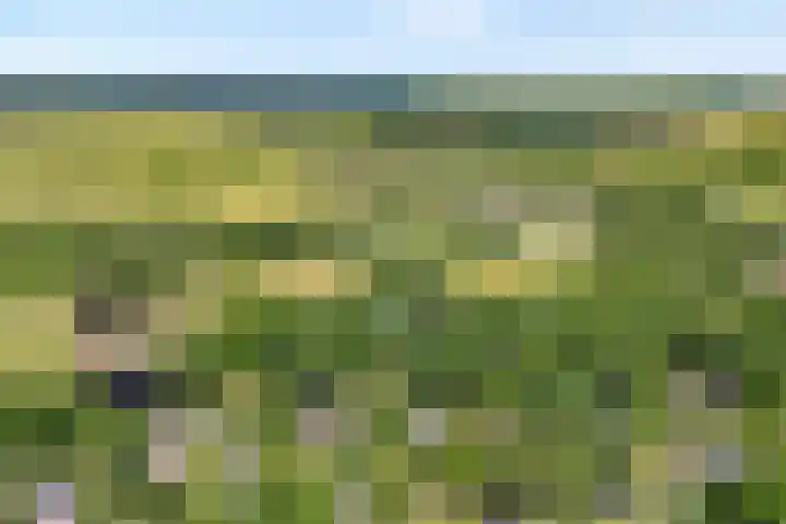 De Breistroeken 33 Nieuw-Balinge thumbnail 56