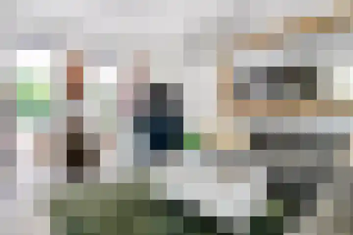 De Breistroeken 33 Nieuw-Balinge thumbnail 6
