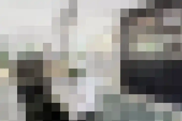De Breistroeken 33 Nieuw-Balinge thumbnail 7