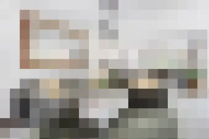 De Breistroeken 33 Nieuw-Balinge thumbnail 8