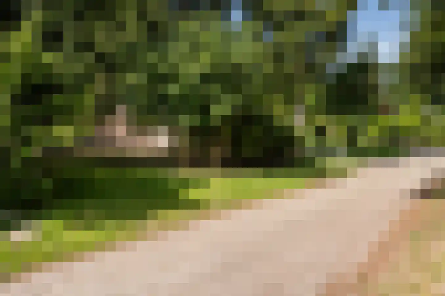 De Breistroeken 42 Nieuw-Balinge thumbnail 10