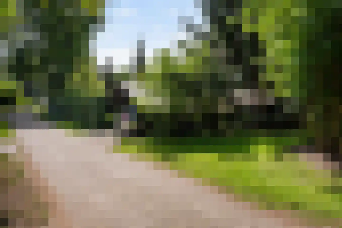 De Breistroeken 42 Nieuw-Balinge thumbnail 11