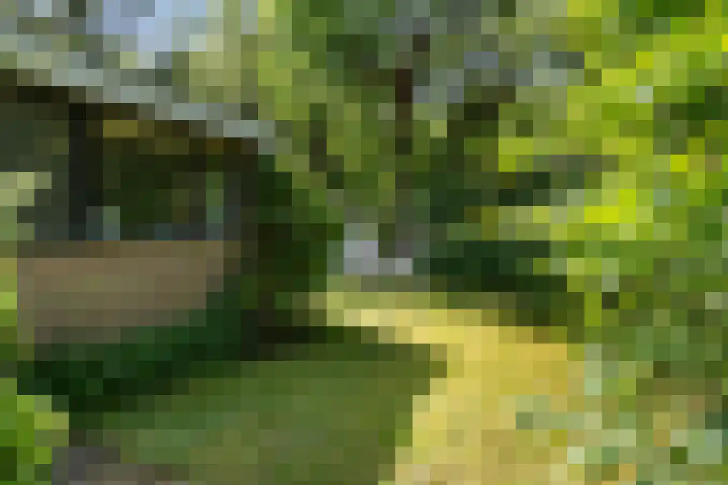 De Breistroeken 42 Nieuw-Balinge thumbnail 13