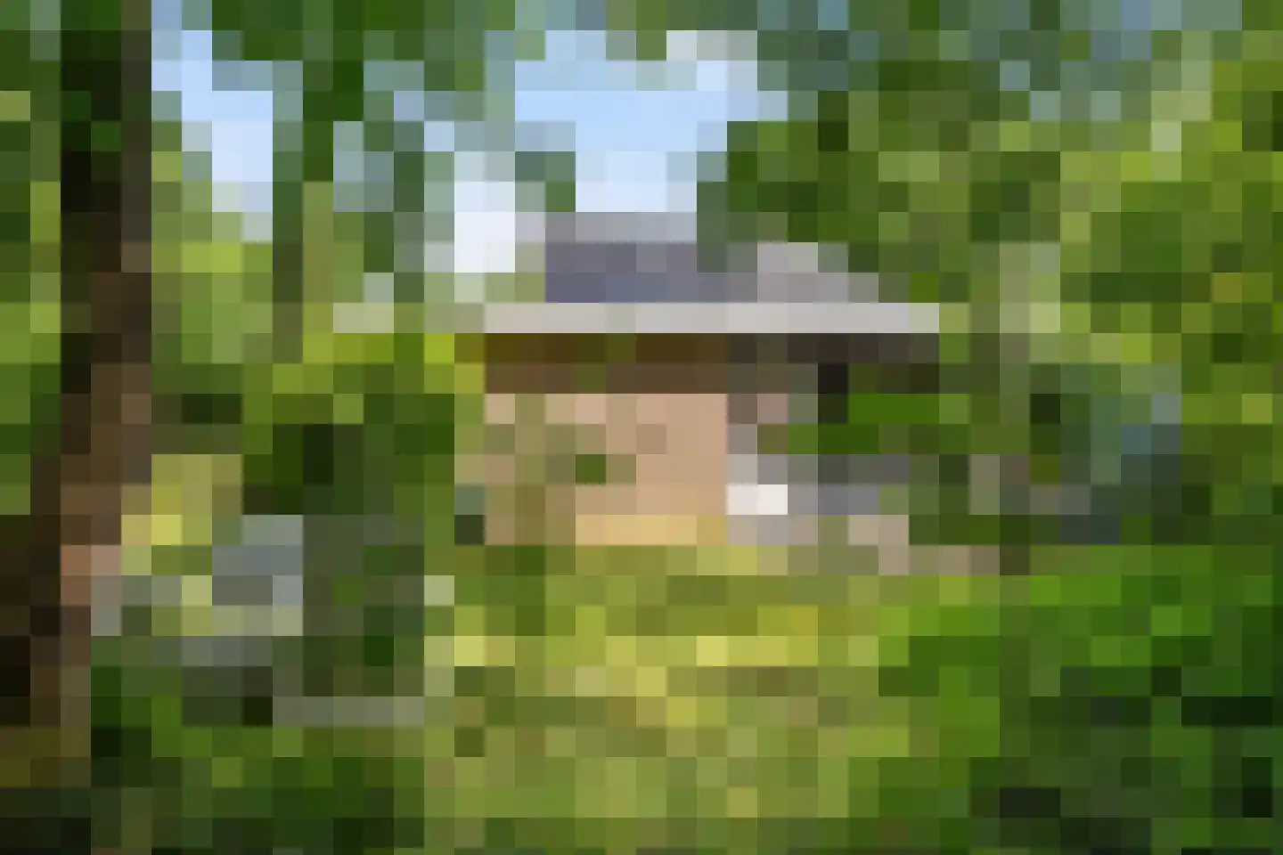 De Breistroeken 42 Nieuw-Balinge thumbnail 16