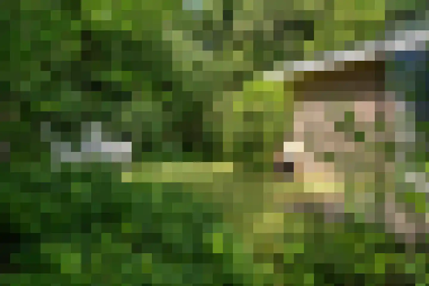 De Breistroeken 42 Nieuw-Balinge thumbnail 17