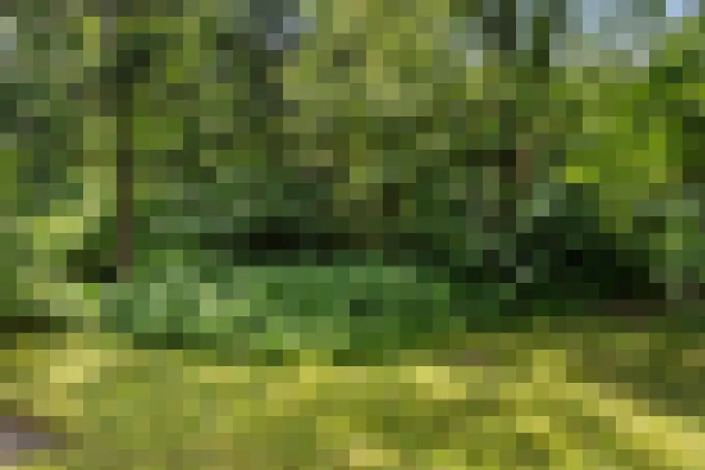 De Breistroeken 42 Nieuw-Balinge thumbnail 19
