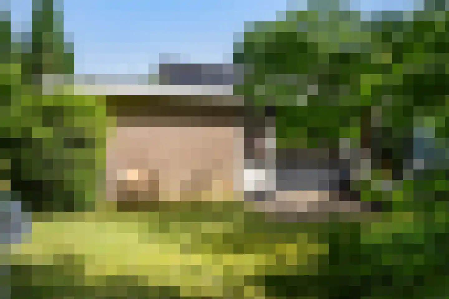 De Breistroeken 42 Nieuw-Balinge foto 2