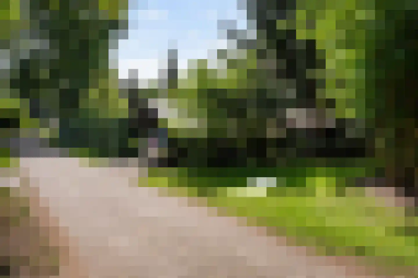 De Breistroeken 42 Nieuw-Balinge thumbnail 20