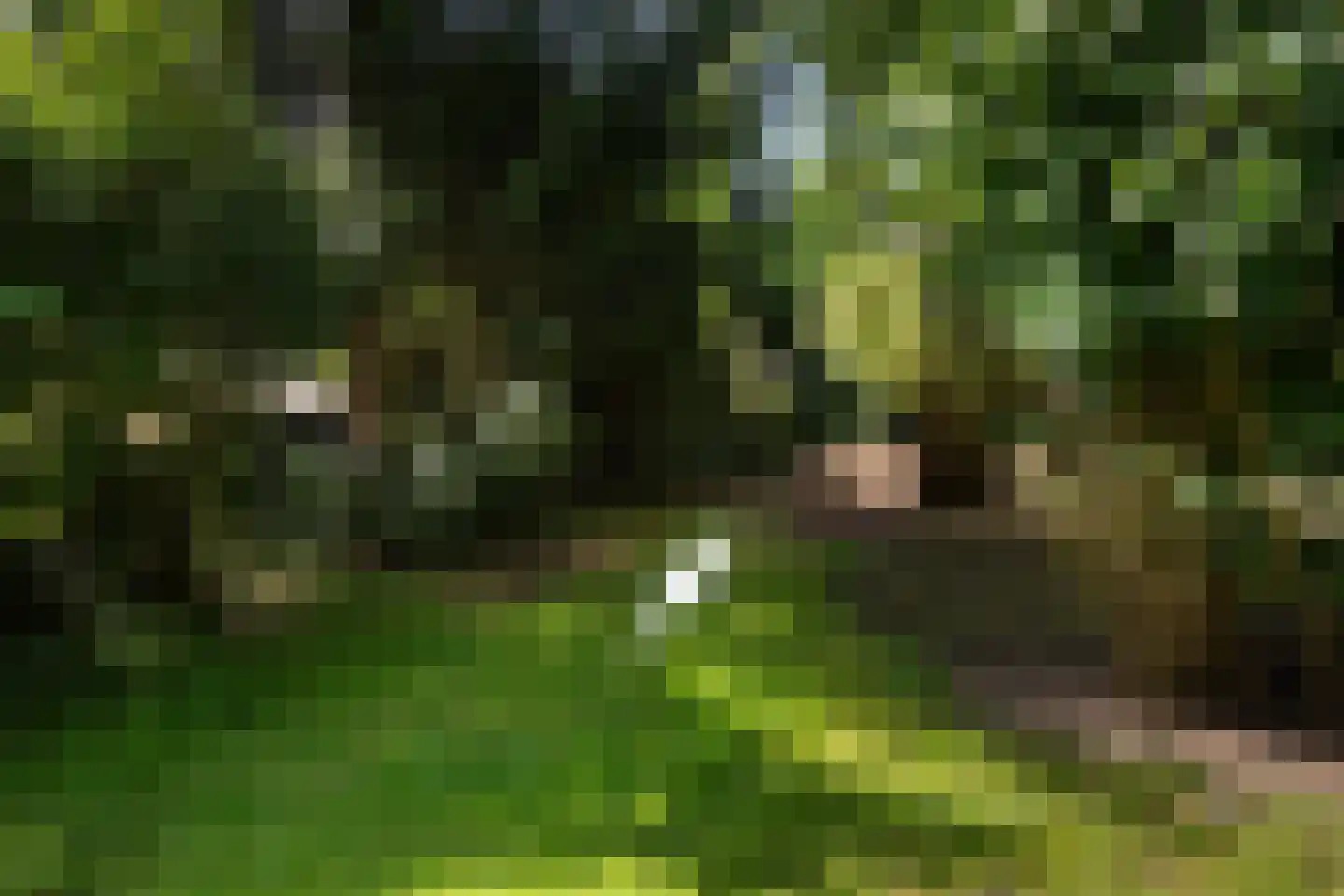 De Breistroeken 42 Nieuw-Balinge thumbnail 21