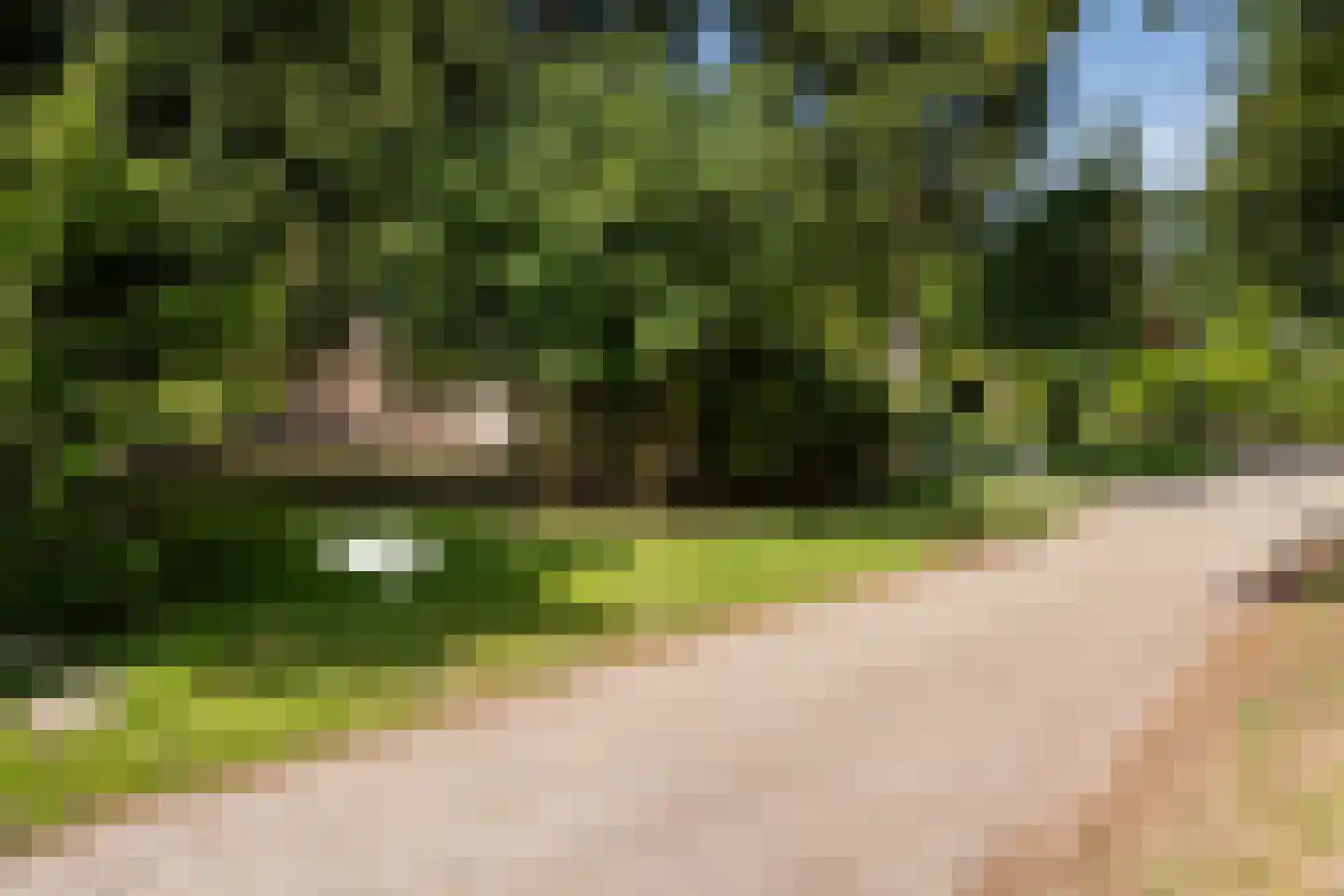 De Breistroeken 42 Nieuw-Balinge thumbnail 22