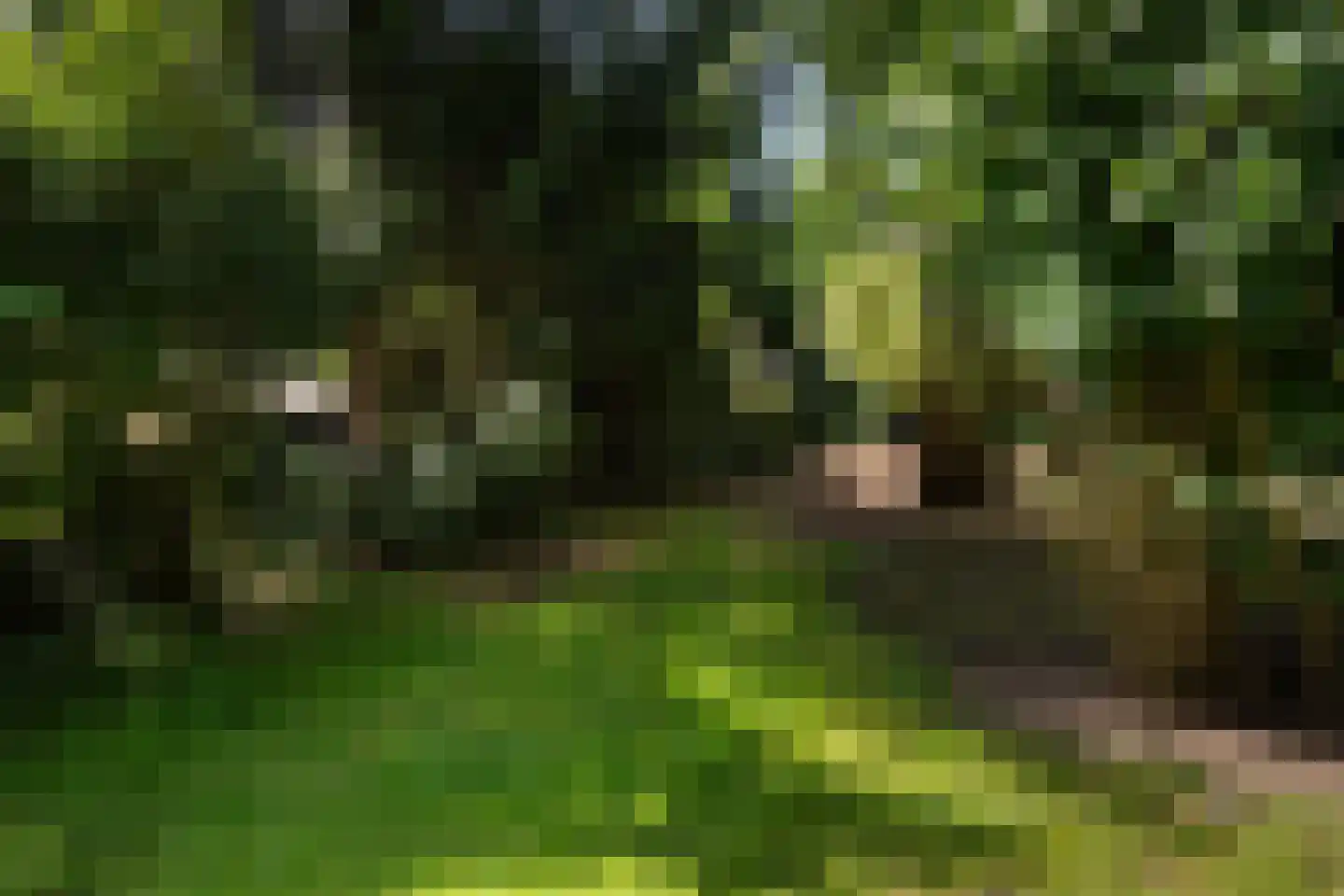 De Breistroeken 42 Nieuw-Balinge thumbnail 4