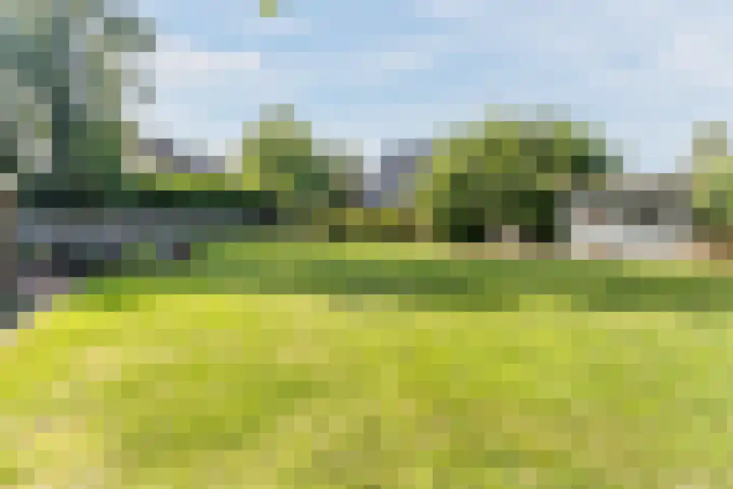 De Breistroeken 63 Nieuw-Balinge thumbnail 10