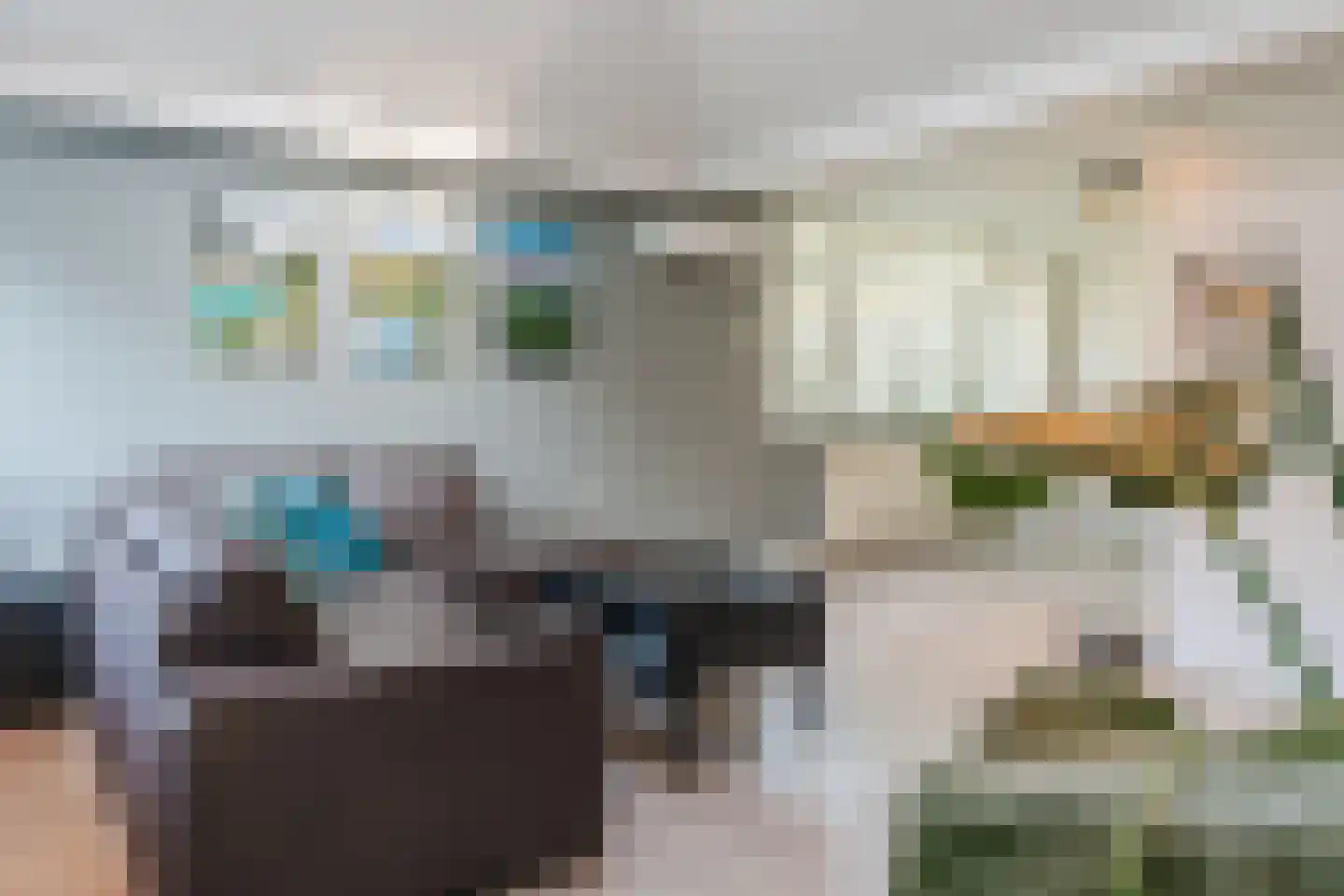 De Breistroeken 63 Nieuw-Balinge thumbnail 12