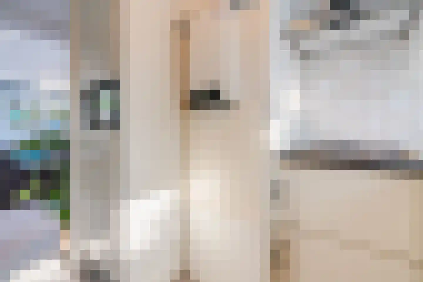 De Breistroeken 63 Nieuw-Balinge thumbnail 14