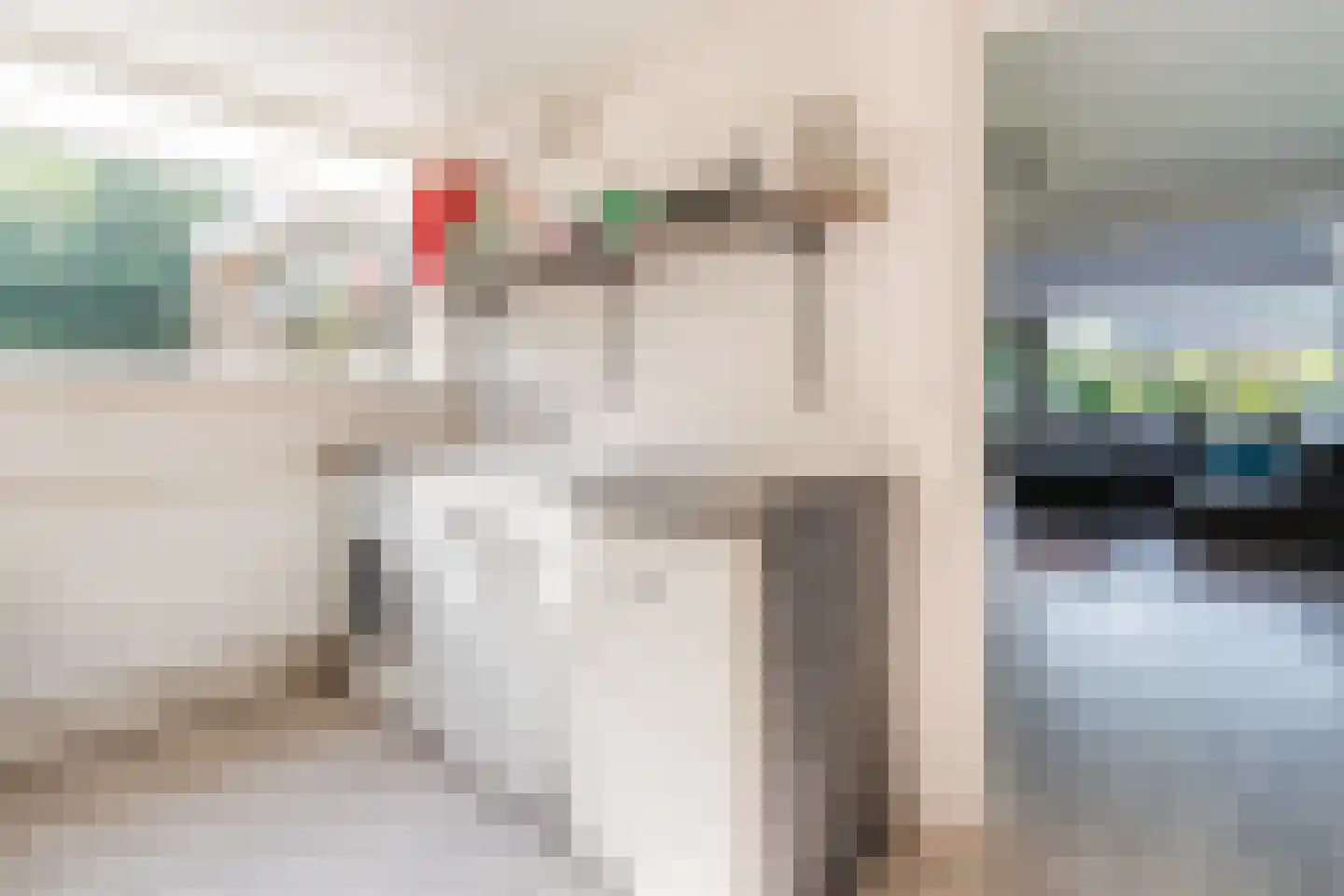 De Breistroeken 63 Nieuw-Balinge thumbnail 15