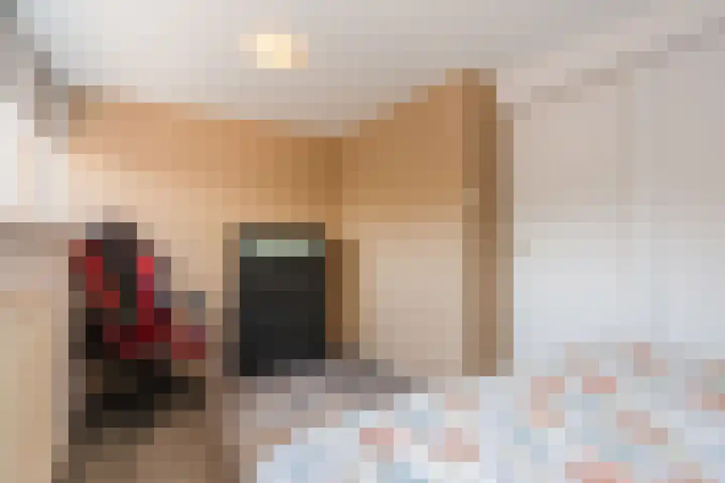De Breistroeken 63 Nieuw-Balinge thumbnail 18