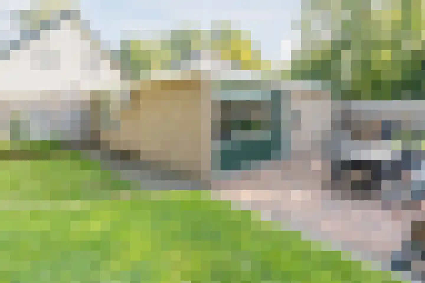 De Breistroeken 63 Nieuw-Balinge thumbnail 23