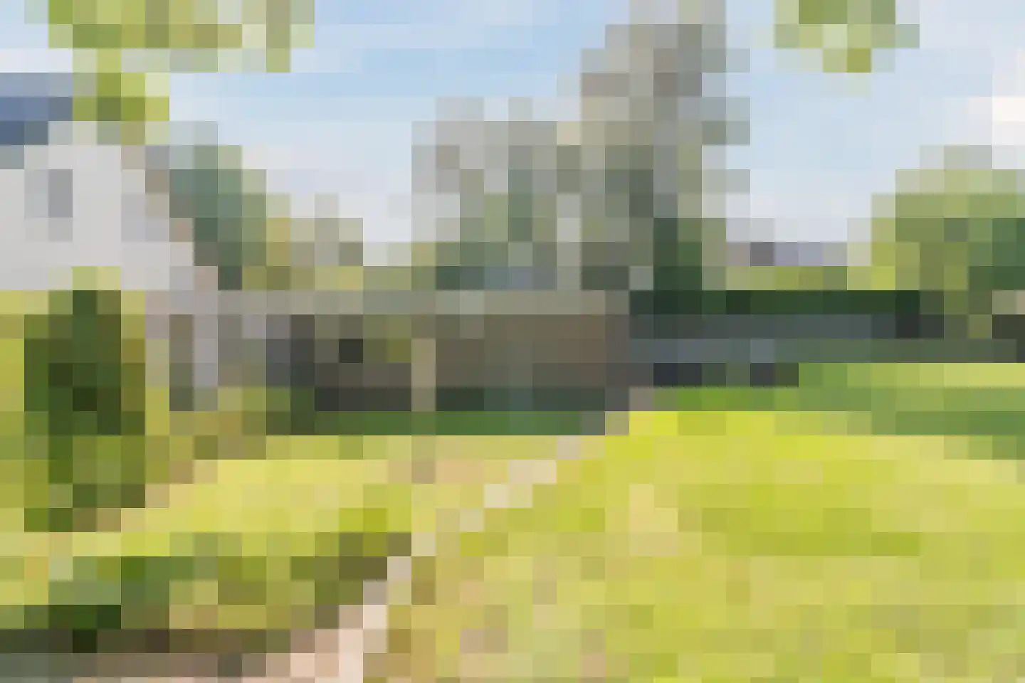 De Breistroeken 63 Nieuw-Balinge thumbnail 24