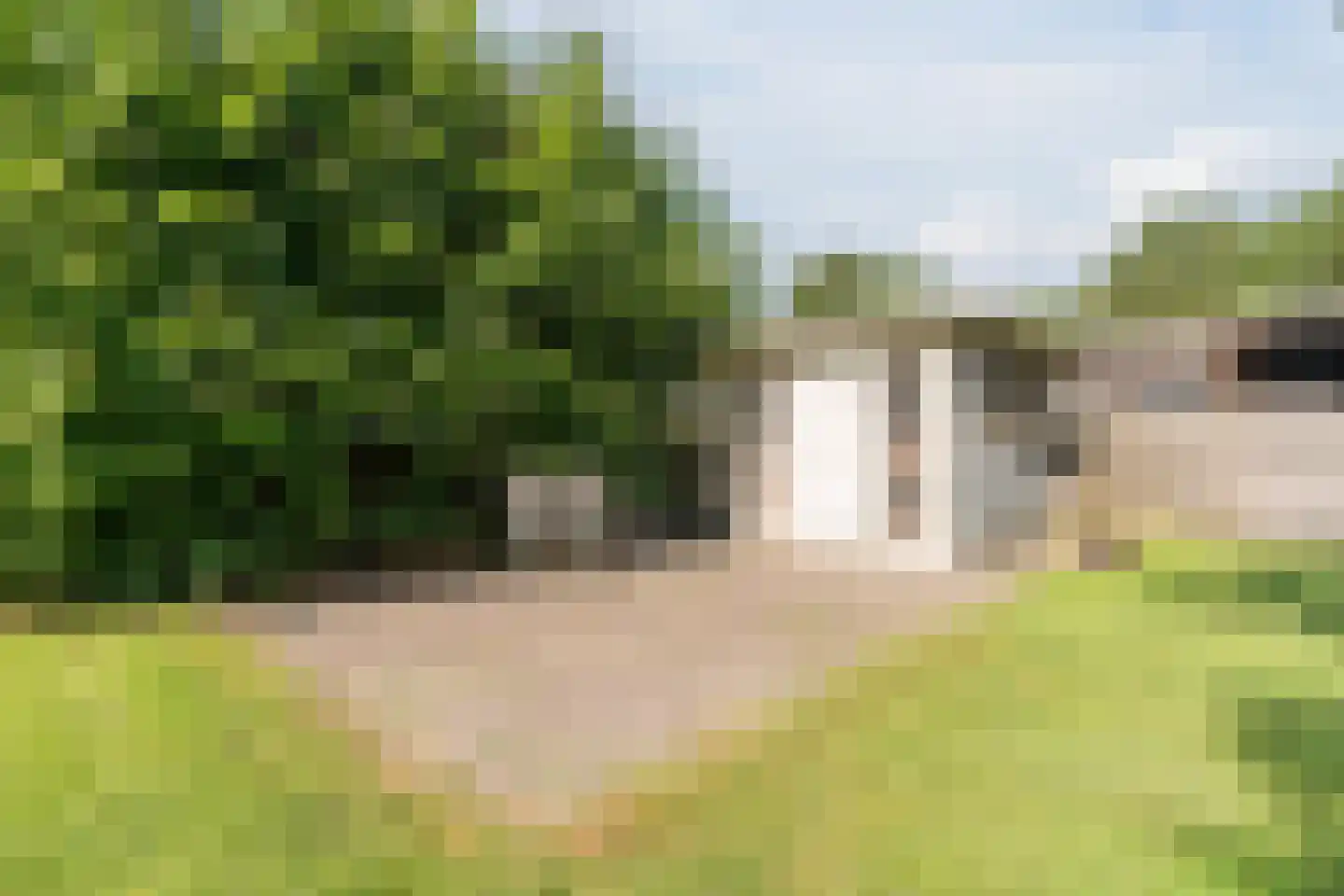 De Breistroeken 63 Nieuw-Balinge thumbnail 25