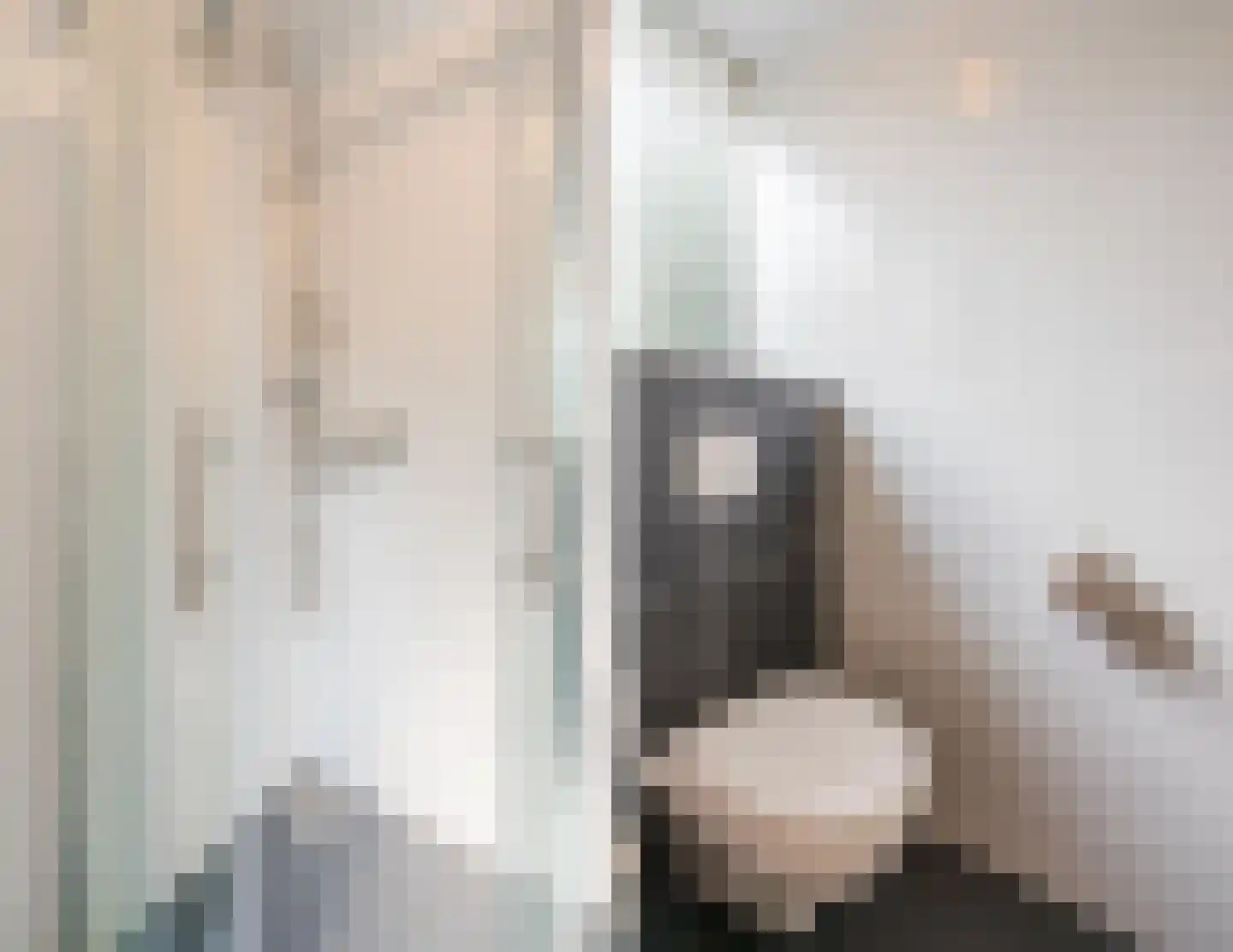 De Breistroeken 63 Nieuw-Balinge thumbnail 5